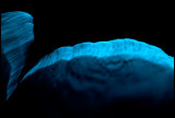 Sea Sparkle (Noctiluca scintillans) at night seen from the boat