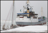 Worlds oldest still active cargo vessel Sydfart wintering in Grönhögen harbour