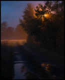 Roadside lamp a foggy evening near Trekanten