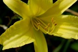 DSC_9027_edited-1.jpg