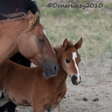 0815-27July2010-SandWash-web.jpg