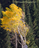 fall-0222-web.jpg