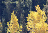 fall-8078-web.jpg