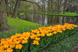 Keukenhof_28.jpg