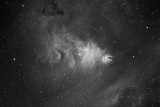 Christmas Tree Cluster, Fox Fur Nebula & Cone Nebula NGC 2264
