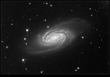 NGC 2903