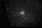 NGC1491