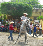 Guatemala Horseman