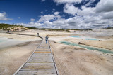 2231 Norris Geyser Basin