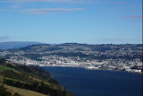 dunedin city.jpg