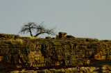 Rather stark landscape