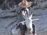 Taking the donkey on a wild ride, early morning Hajarra