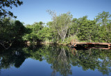 Tres Rios Cenote email.jpg