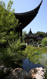 Chinese garden8 email.jpg