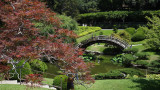 Japanse garden2 email.jpg