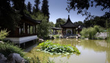 Chinese garden9 email.jpg