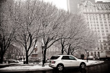ny winter-2008-09-2302.jpg