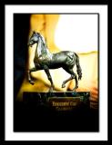 B_Trophy_DSC_2435EDIT.jpg