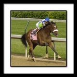 D-SC0024Preakness.jpg