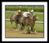 D-SC0025-Preakness.jpg