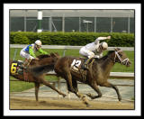 D-SC0028-Preakness.jpg