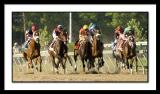 D-SC0171-Preakness.jpg