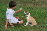 IMG_1350 Tricks