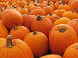 CRW_7383 pumpkins