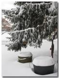 Wintery view