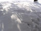 Snow writings