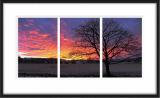 triptych of Early Winter sunrise