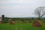 Round bales