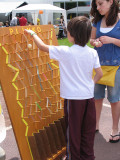 IMG_3264_ Plinko