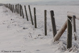 Fence Cant Keep Out The Cold