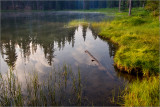 Reflections on Summit Lake