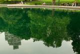 Reflections on a Cloudy Day