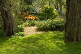 2009-04-18_MG_1854.jpg