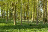 2009-04-18_MG_1878.jpg