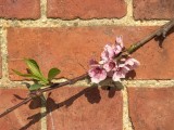 2009-04-18_MG_1889.jpg