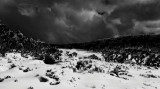 20100807 Mt Erica_0269 B&W