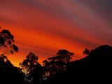 Fire in the sky