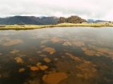 Tarn on Mt Ossa