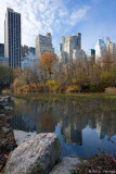 Park reflections