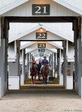 Through the barns