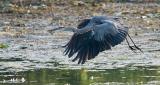 In flight