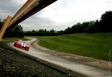 LC1O9113h_800.jpg