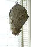 25 Office decor 3595
