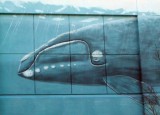 Wall Whale 3977