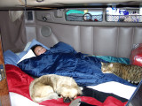 Everybodys In Bed But Me, And Im The One Working..!!