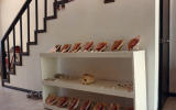 My Collection Of Conch Shells